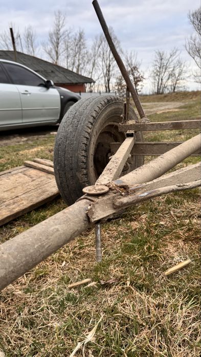 Віз , для коня , не дорого