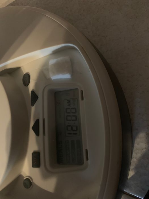 Dispensador de comida automático para gato ou cão pequeno