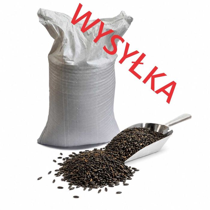 Owies czarny karma dla koni drobiu kur gryzoni ptaków gołębi myszy 17 kg WYSYŁKA