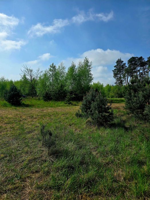 Działka budowlana Laskowo 821 m