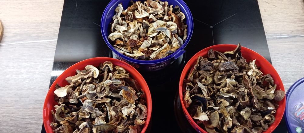 Grzyby suszone tegoroczne,prawdziwki i podgrzybki