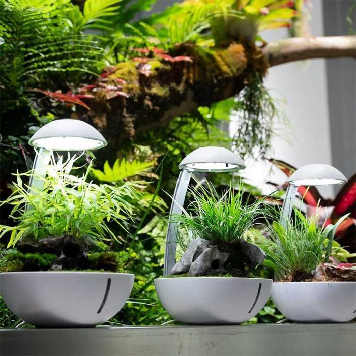 Terrário Moderno com Iluminação LED NOVO