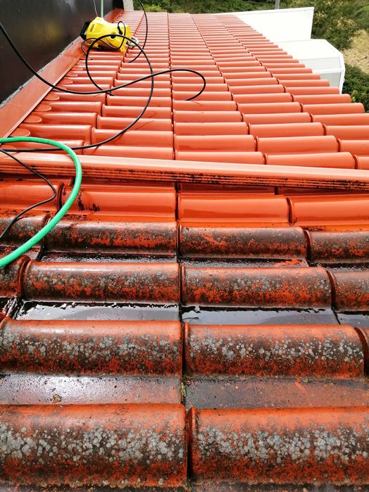 Limpeza e Reparação de Telhados / Painéis e outras superfícies