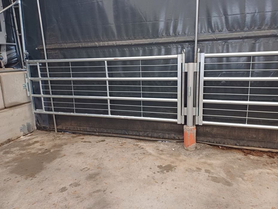 Drabiny kojec dla bydła