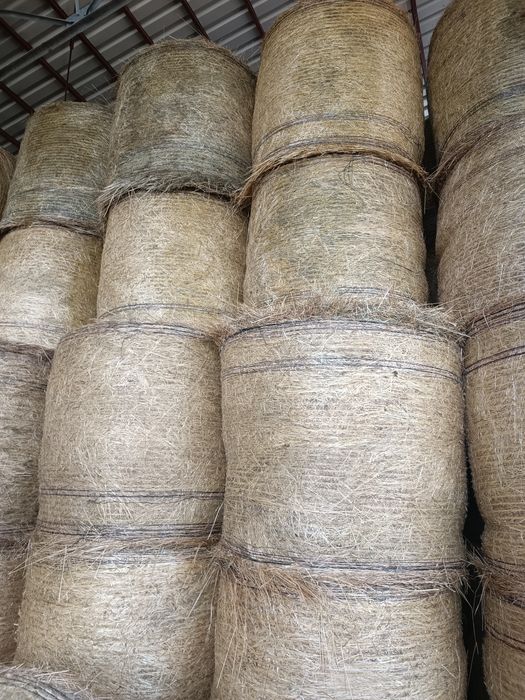 Sprzedam Siano 120x120