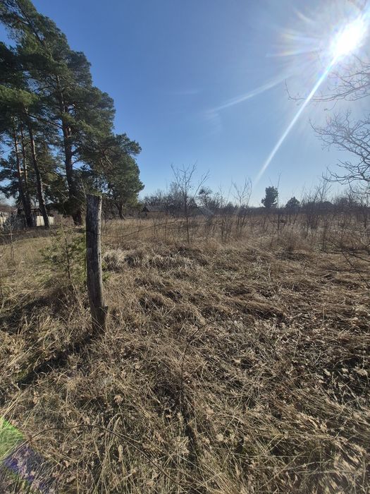 Продам -98сот- с.Хотянівка,під забудову,на ділянці ліс,електромережа.