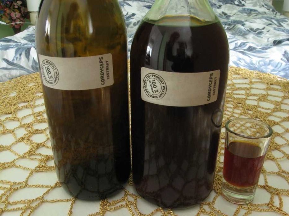 Okazja Promocja Podwójna ekstrakcja Maczużnik bojowy Cordyceps Militaris 500ml