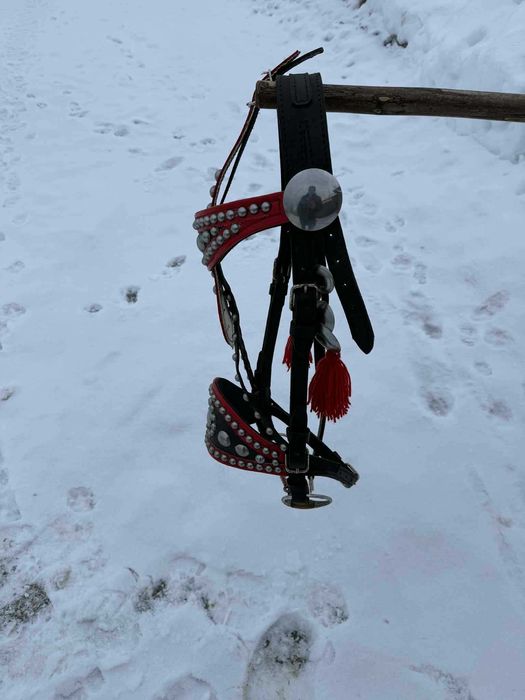 Uzda / kantar na konia