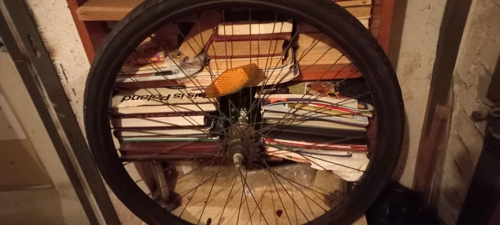 Kołodo górala,,ostre,,koło