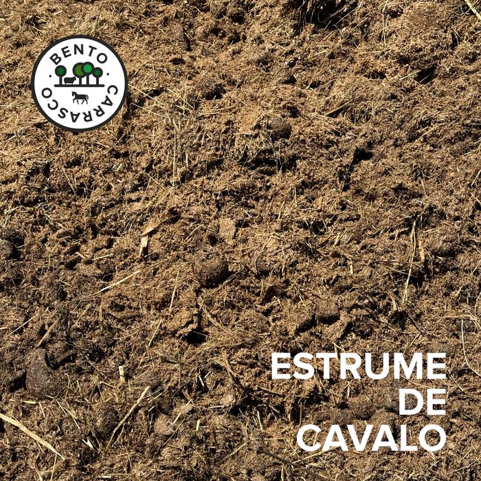 Estrume de Cavalo