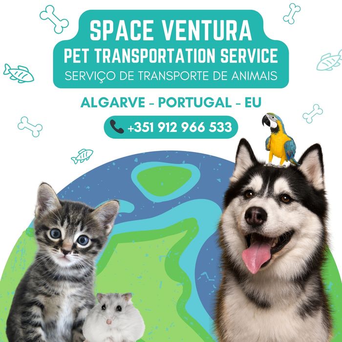 Transporte de animais / Pet transportation