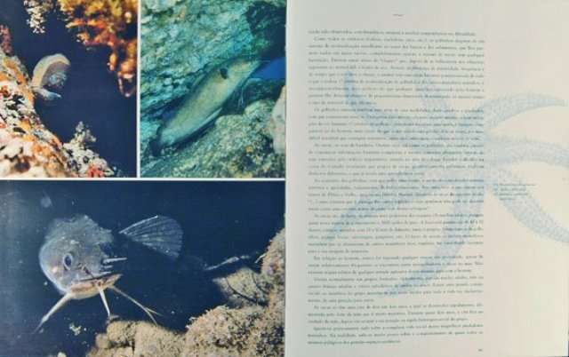 Sob Este Mar Português