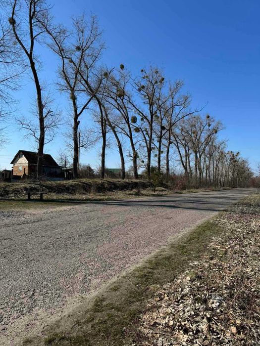 Продам ділянку (8289)