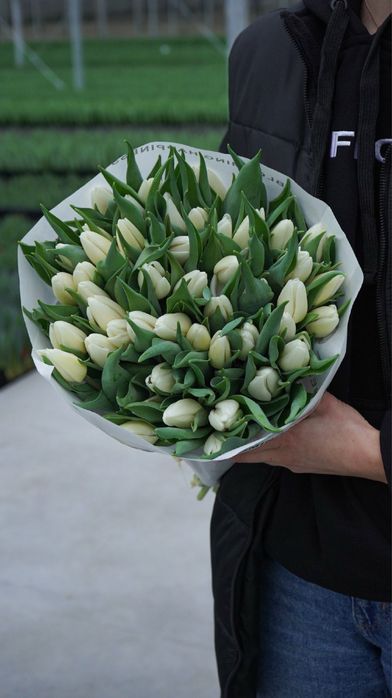 Тюльпани оптом, доставка букетів