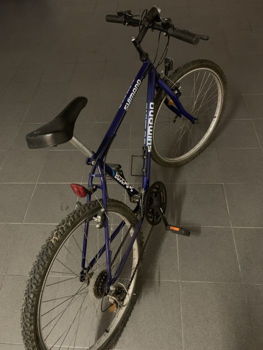 Biciclrta adulto