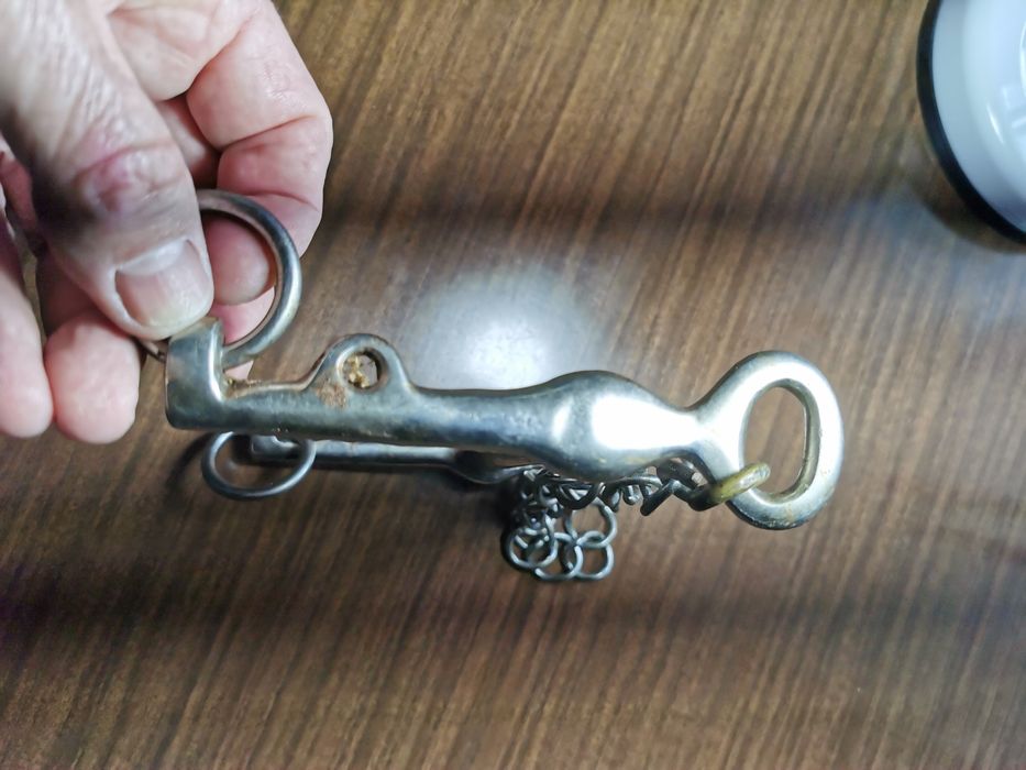 Freio para equitação