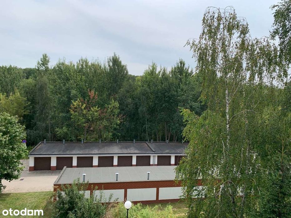Do wynajęcia mieszkanie dwupokojowe, ul. Szafirowa