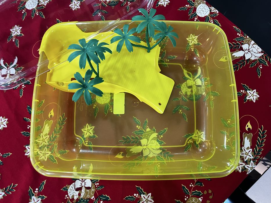 Aquário para tartaruga