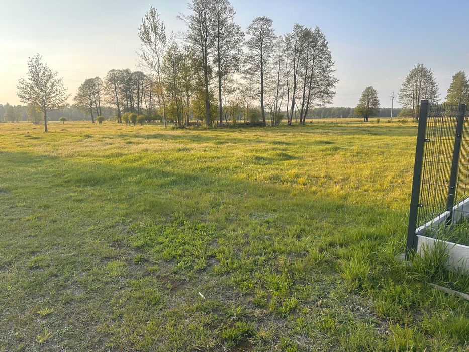 Działka cicha okolica 30 ar - Widok 3