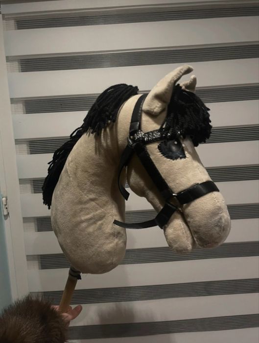 hobby horse.