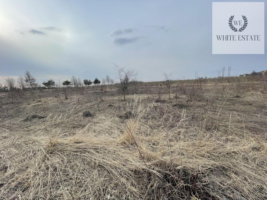 Продаж земельної ділянки с. Гаї Шевченківські