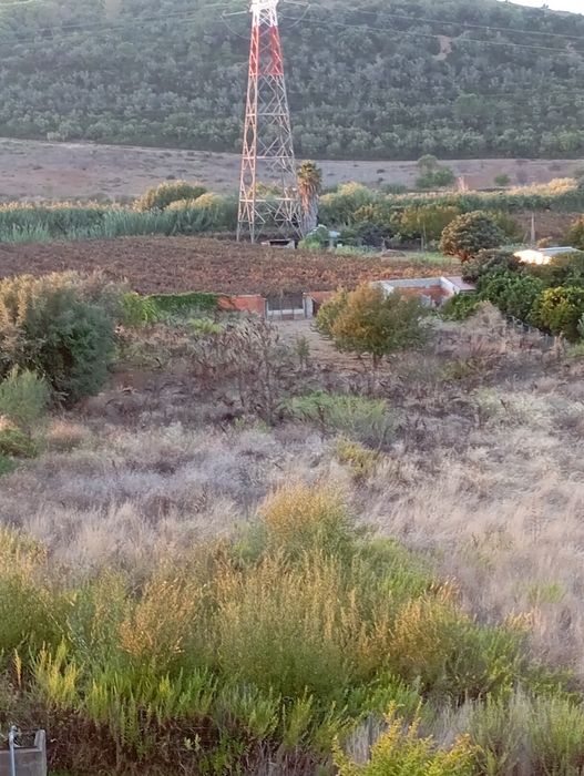 Terreno agrícola