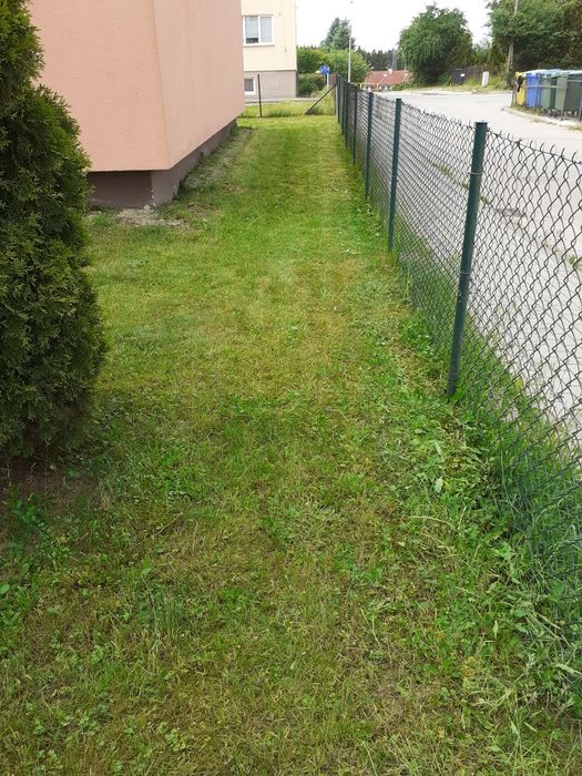 Usługi ogrodnicze koszenie trawy i żywopłotów