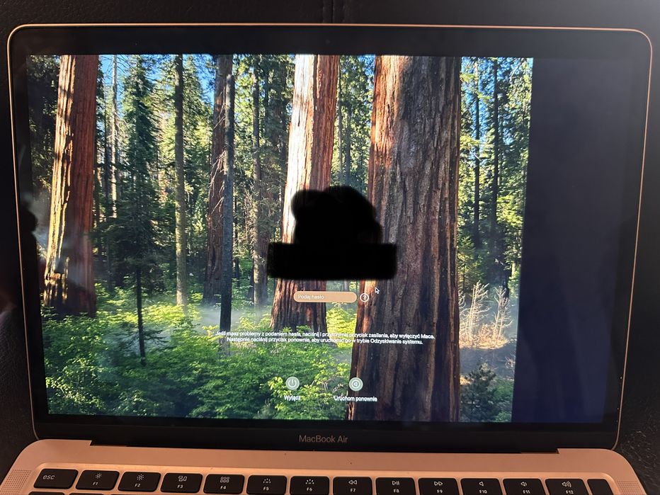 Uszkodzone skrzydło matrycy Macbook Air a2179 Rose Gold