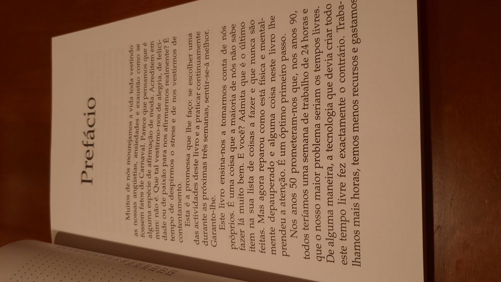 Dispa o seu stress Lois levy