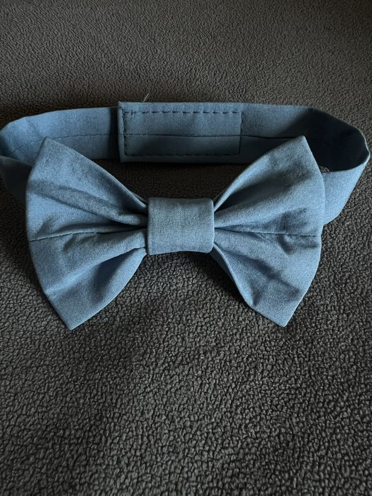 Метелик галстук бабочка