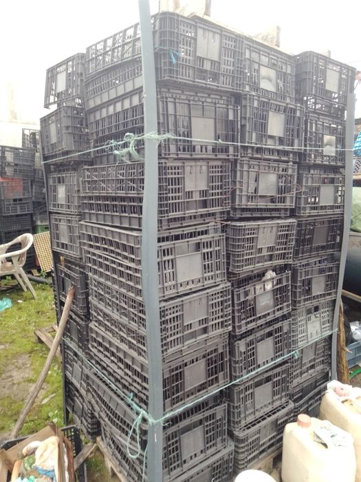 Caixas para Horta 750