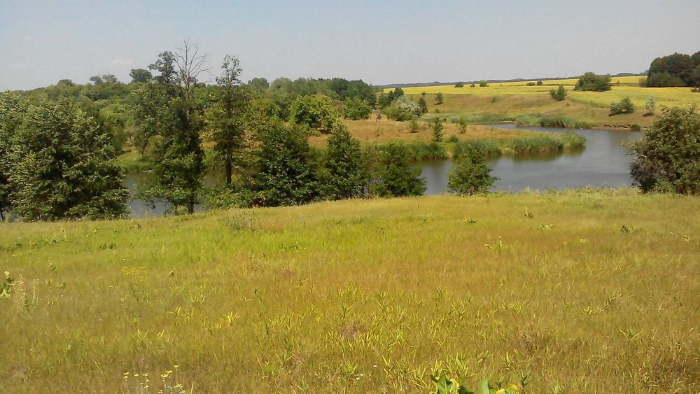 Продається будинок і земля під ОСГ