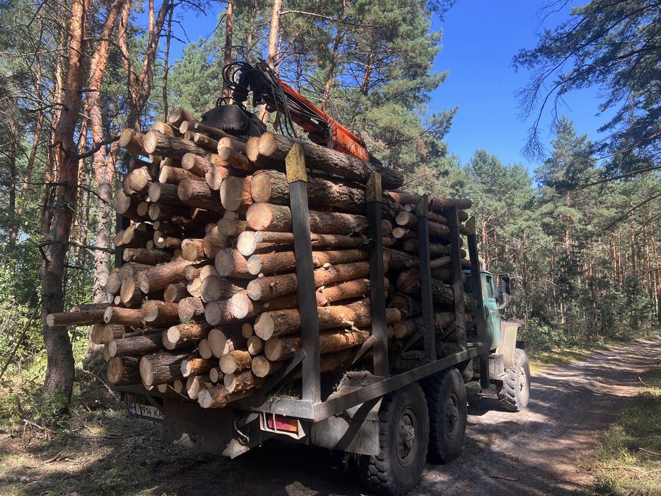 Продам дрова