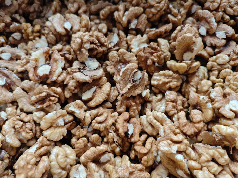 Грецький (волоський) горіх, врожай 2025, світлий метелик, смачний