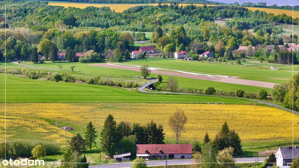 Dom z dużym terenem na Pogórzu Izerskim / Lubań / Leśna