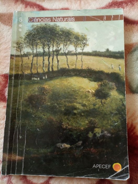 Livros de Ciências Naturais Colégio São José (Ramalhão) - 5° ano 
Work