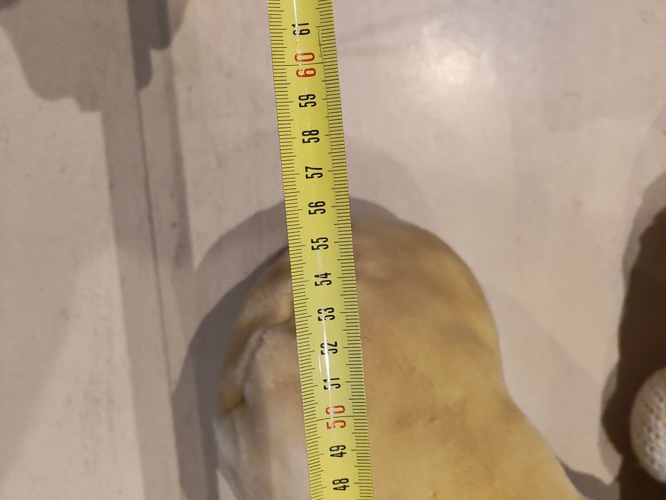 Peluche cão com cachecol e gorro