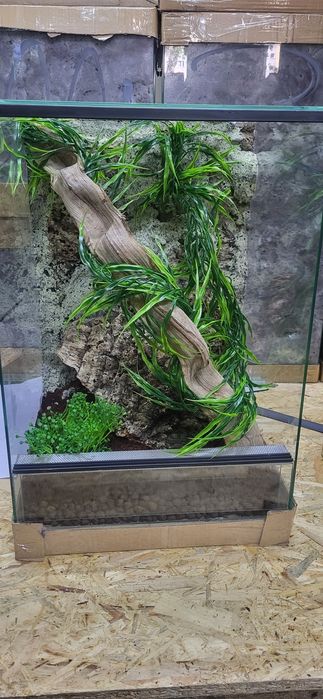Terrarium 40x40x60 z wystrojem, ścianką, Gekon. WYSYŁKA