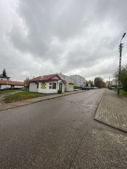 Lokal do wynajecia
