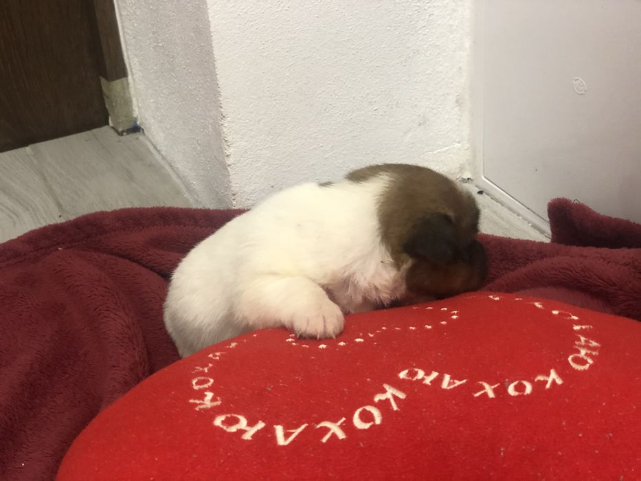 Шукаємо родини