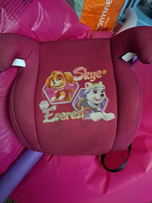 Cadeira transporte carro