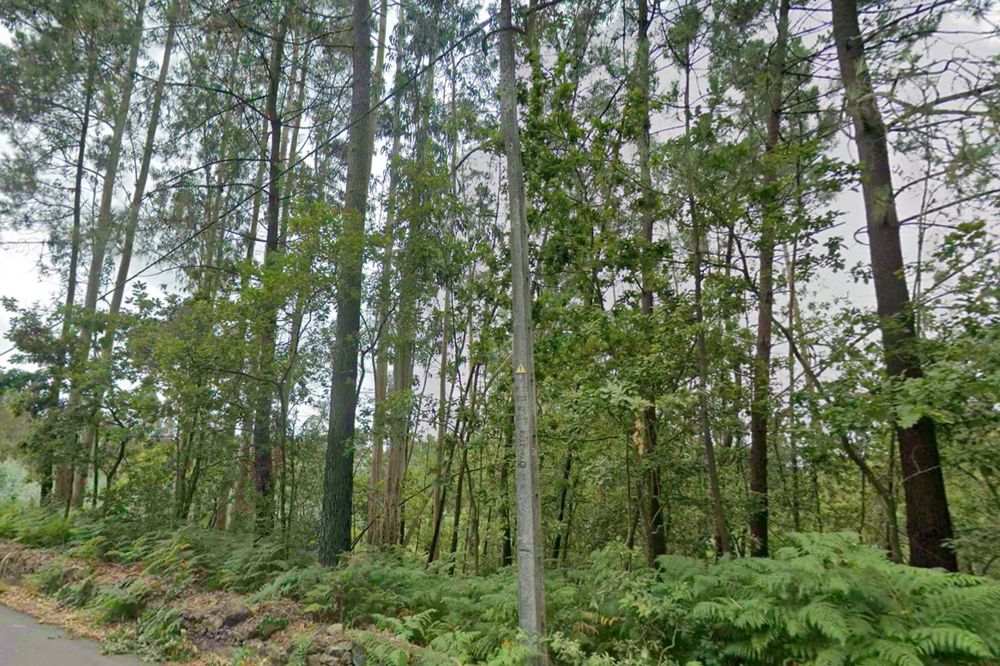 VENDA/ALUGUER Conjunto de 2 Terrenos Rústicos Contíguos