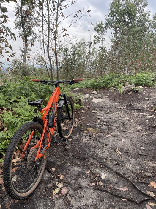 Orbea Occam TR L