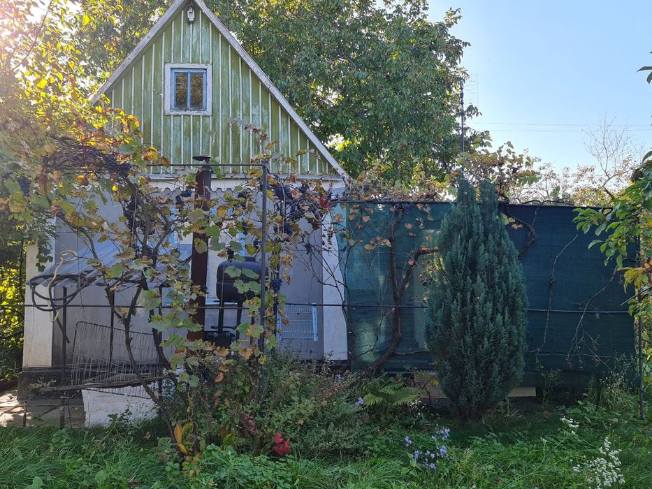 Продам дачу біля   міста  Пваденноккраїеська  в кооперативе  "Протон ".