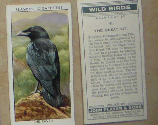 1932 cartões de tabaco "Wild Birds" - pássaro selvagens
