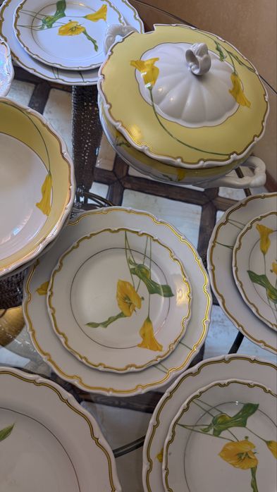 Колекційний порцеляновий сервіз Haas & Czjzek (Чехія, з 1792 р.)