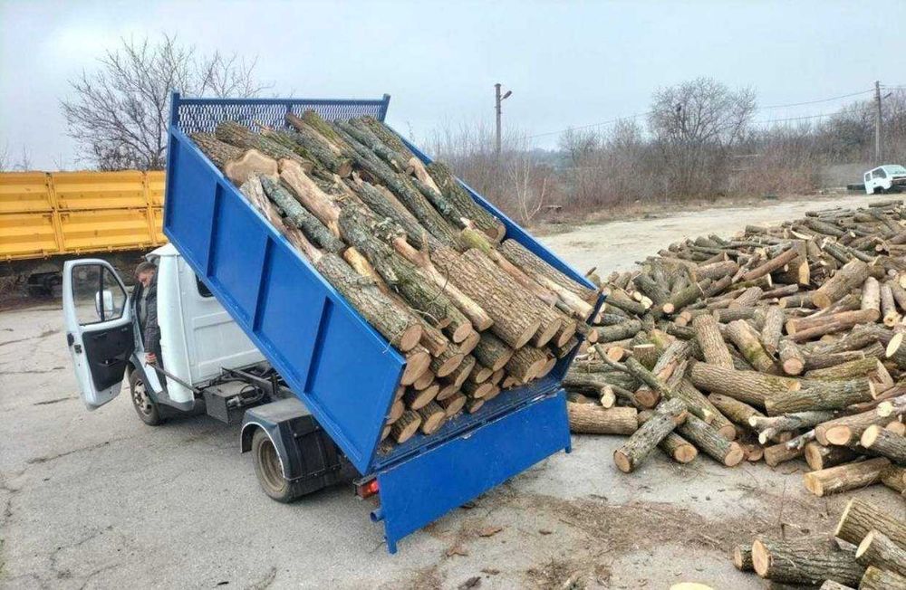 Дрова тверда порода акація дуб ясень вугілля брикет з доставкой ЯКІСТЬ