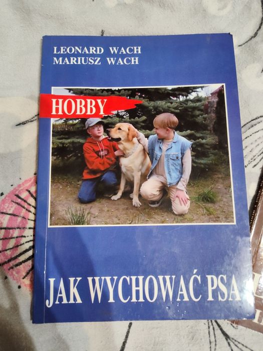 Labrador i inne retrievery