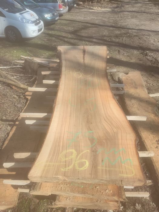 Monolity wiąz szerokie ponad 100 cm
