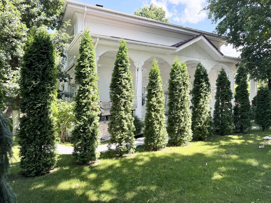 КМ Нова Ходосівка будинок 600 м² 20 соток гостьовий будинок лазня ліс